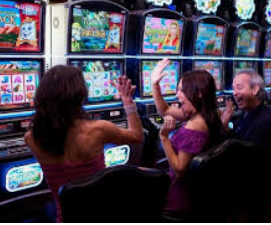 333体育官网下载2024最新版