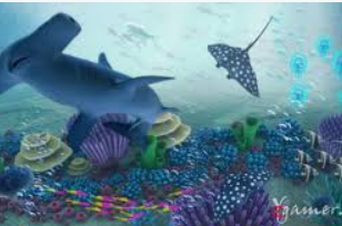 333体育官网下载2024最新版